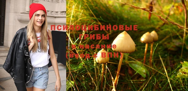 mix Богородицк