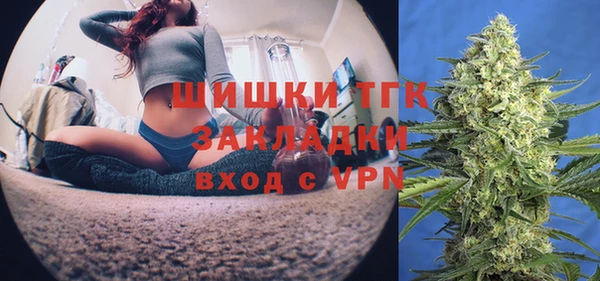 mix Богородицк