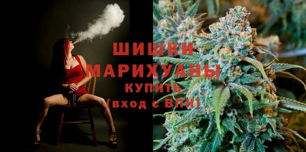mix Богородицк