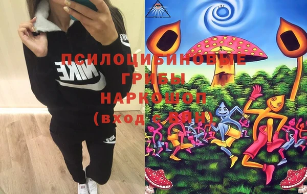 mix Богородицк