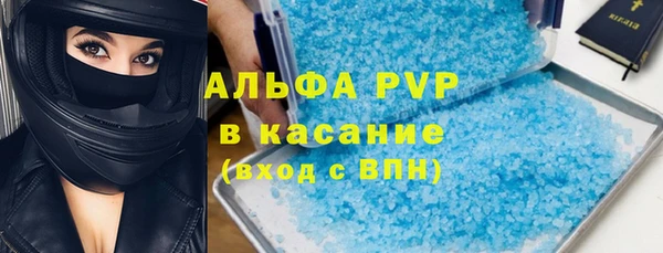 трава Белокуриха