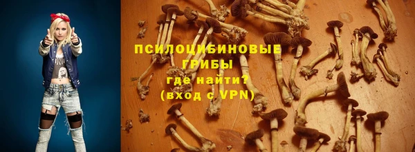 СК Богданович